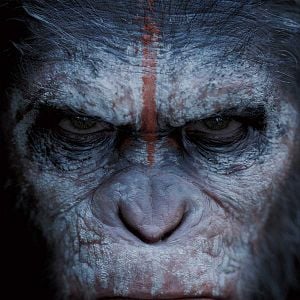 Foto El planeta de los simios: Confrontación