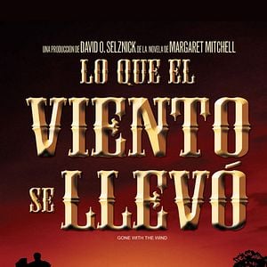 Foto Lo que el viento se llevó