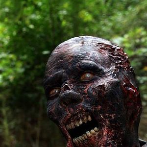 Foto The Walking Dead