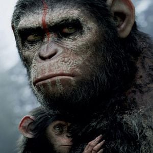 Foto El planeta de los simios: Confrontación