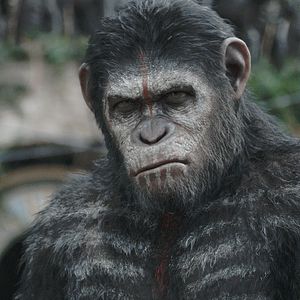 Foto El planeta de los simios: Confrontación