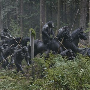 Foto El planeta de los simios: Confrontación