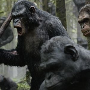 Foto El planeta de los simios: Confrontación