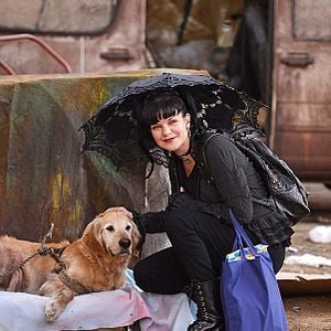 Foto Pauley Perrette
