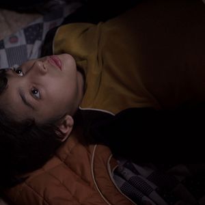 Foto Los insólitos peces gato