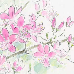 Foto El cuento de la princesa Kaguya