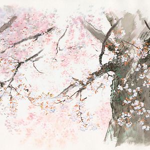 Foto El cuento de la princesa Kaguya