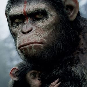 Foto El planeta de los simios: Confrontación