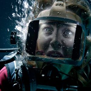 Foto Terror a 47 metros