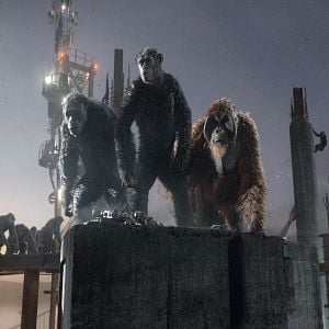 Foto El planeta de los simios: Confrontación