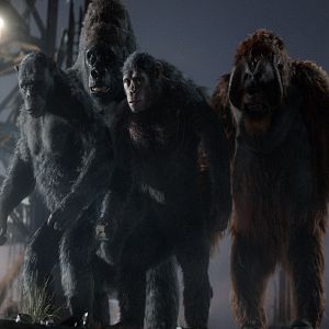 Foto El planeta de los simios: Confrontación