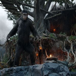 Foto El planeta de los simios: Confrontación