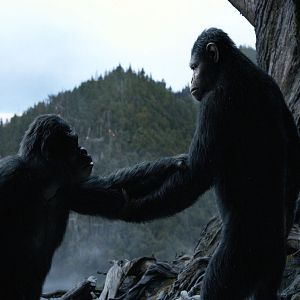 Foto El planeta de los simios: Confrontación