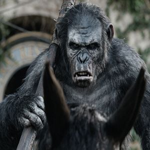 Foto El planeta de los simios: Confrontación