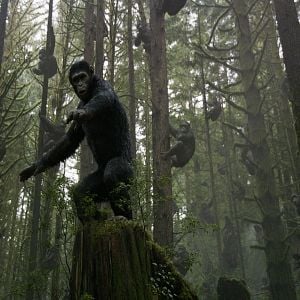 Foto El planeta de los simios: Confrontación