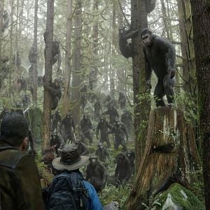 Foto El planeta de los simios: Confrontación
