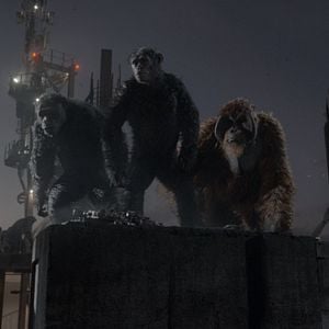Foto El planeta de los simios: Confrontación