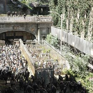 Foto El planeta de los simios: Confrontación