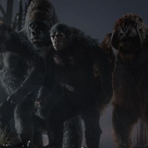 Foto El planeta de los simios: Confrontación