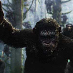 Foto El planeta de los simios: Confrontación