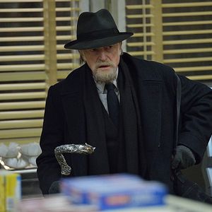 Foto David Bradley (IV)