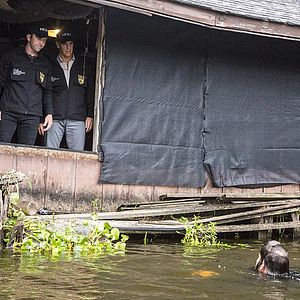 Foto NCIS: Nueva Orleans