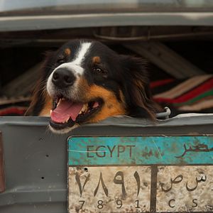 Foto Los Cinco y el secreto de la pirámide