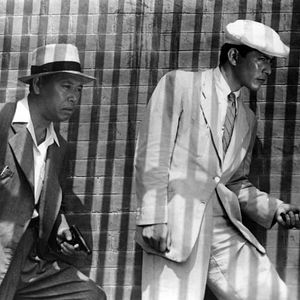 Foto El perro rabioso