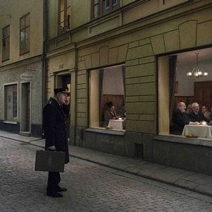 Foto Una paloma se posó en una rama a reflexionar sobre la existencia