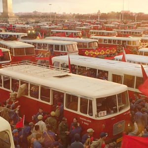 Foto El último lobo