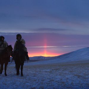 Foto El último lobo
