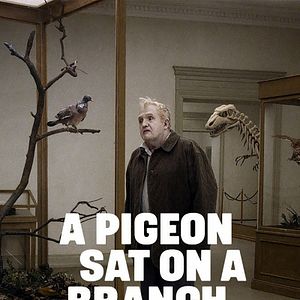 Foto Una paloma se posó en una rama a reflexionar sobre la existencia