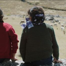 Foto La casa más grande del mundo