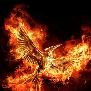 Foto Los juegos del hambre: Sinsajo - Parte 2