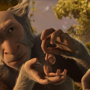 Foto El reino de los monos