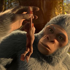 Foto El reino de los monos