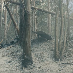 Foto Vengadores: era de Ultrón