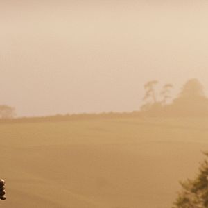 Foto Lejos del mundanal ruido