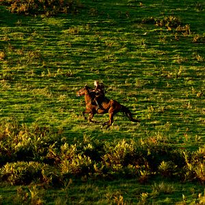 Foto Lejos del mundanal ruido