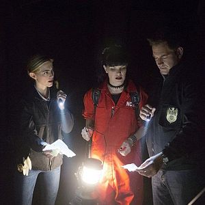 Foto Pauley Perrette