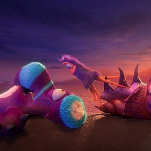 Foto ¡Upsss! ¿Dónde está Noé?