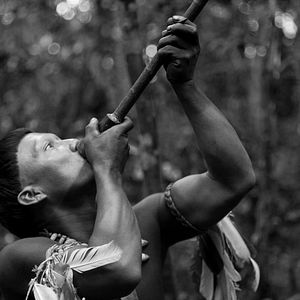 Foto El abrazo de la serpiente