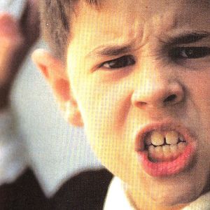 Foto La lengua de las mariposas