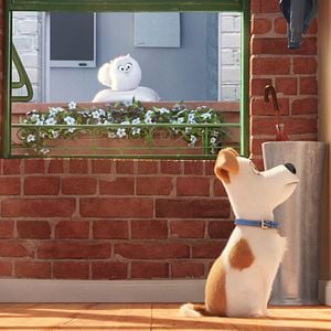 Foto La vida secreta de tus mascotas