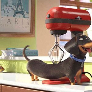 Foto La vida secreta de tus mascotas