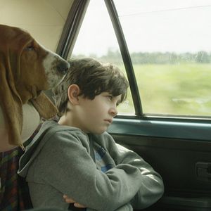 Foto ¿Me amarás cuando despiertes?