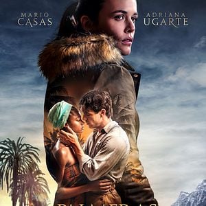 Foto Palmeras en la nieve