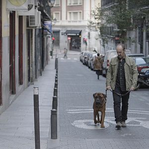 Foto Una sonrisa a la vida