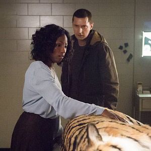 Foto Richard Armitage