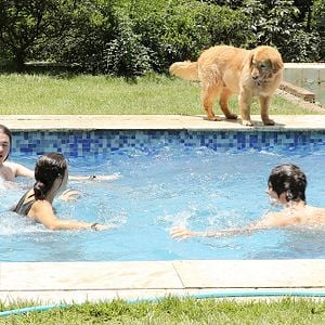 Foto Una segunda madre